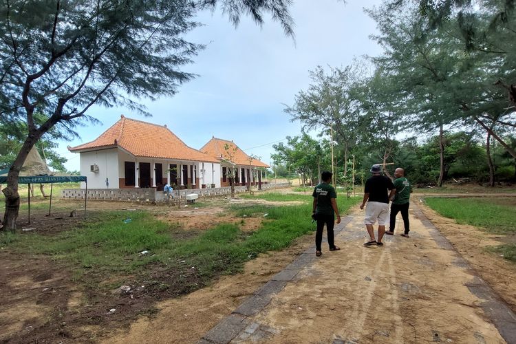 Ket. Foto: Pohon cemara udang yang rindang mengelilingi homestay kasur pasir