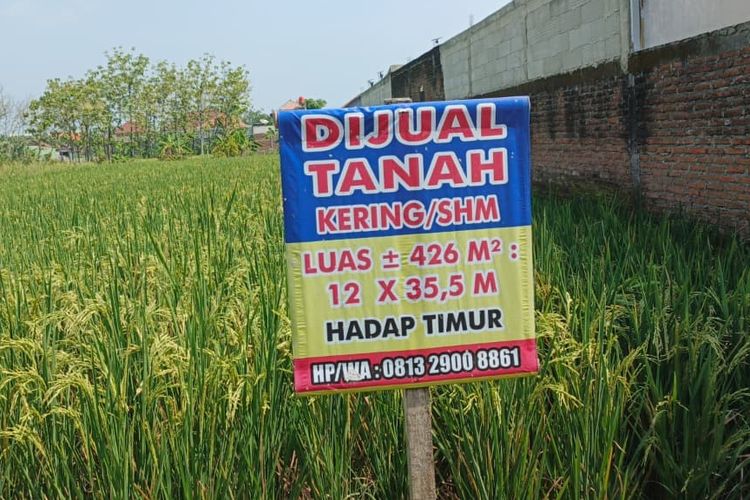 Cuma Bayar Rp 50.000, Ini Manfaat Besar Pengecekan Sertifikat Tanah