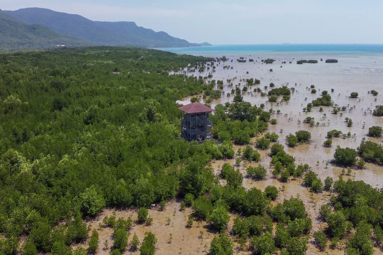 Menara pandang di Wisata Mangrove Karimunjawa.