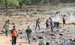 Cegah Kerusakan Lingkungan, Satpolairud Polres Karimun Tanam 1.000 Mangrove