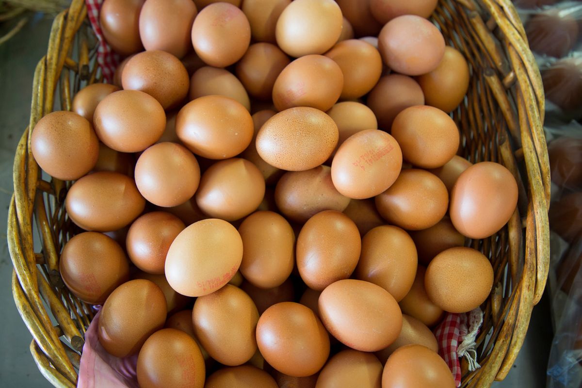 Jangan langsung membuang telur kedaluwarsa. Cek kesegaran telur dengan merendamnya dalam air. 