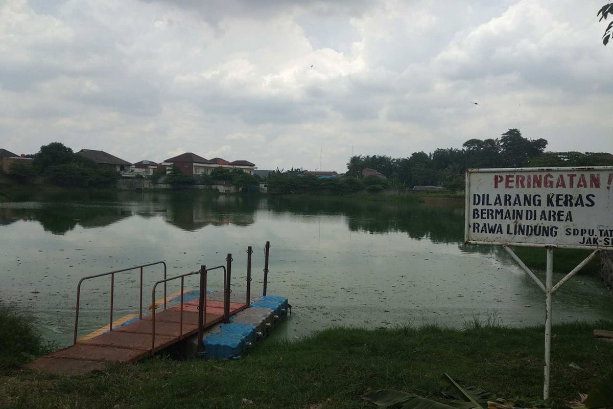 Waduk Rawa Lindung di Petukangan Selatan, Pesanggrahan, Kamis (9/11/2017).