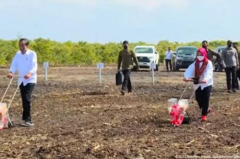 Sebut Dunia Akan Hadapi Krisis Pangan, Jokowi: Kita Harus Ada Rencana Besar