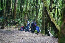 Taman Nasional Gunung Gede Pangrango Larang Pengunjung Sulut Kembang Api dan Petasan