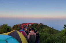 Harga Tiket Pendakian Gunung Andong Saat Malam Tahun Baru 2024