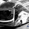 PO Borlindo Akan Punya Bus Baru Pakai Sasis Volvo B11R
