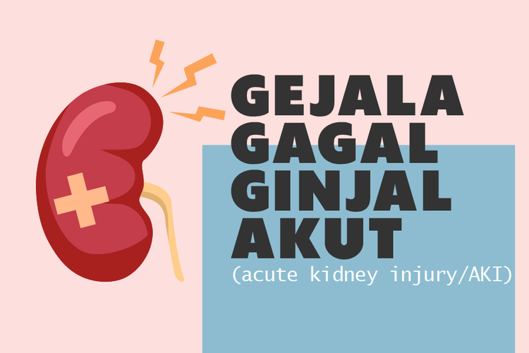 Gejala gagal ginjal akut (acute kidney injury/AKI)