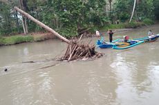 Hanyut di Sungai Kondang Jaran, Seorang Pemetik Kelapa di Lumajang Ditemukan Tewas