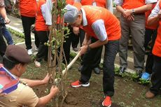 Dua Pohon Sakura Ditanam di Kebun Raya Baturraden