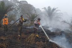 Kebakaran Lahan Milik Pertamina RU II Dumai Mengeluarkan Asap yang Sangat Parah