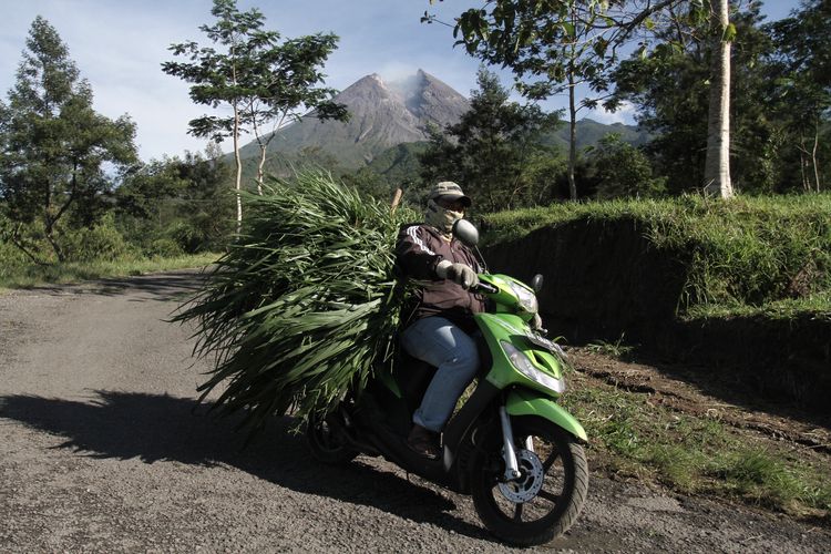 Kubah lava Gunung Merapi terlihat dari Desa Glagaharjo, Cangkringan, Sleman, DI Yogyakarta, Kamis (29/10/2020). Menurut laporan Balai Penyelidikan dan Pengembangan Teknologi Kebencanaan Geologi (BPPTKG) Yogyakarta pada tanggal 28 Oktober 2020 periode 00.00-24.00 WIB tercatat terjadi 85 kali gempa guguran, 57 kali gempa hembusan, 2 kali gempa frekuensi rendah, 157 kali gempa hybrid/fase banyak, 15 kali gempa vulkanik dangkal dan 4 kali gempa tektonik jauh dengan potensi ancaman luncuran awan panas dari kubah lava, status waspada (level II).    