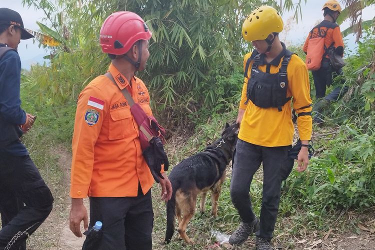 Basarnas Kantor Trenggalek menurunkan SAR dog untuk membantu pencarian Ryan Tri Widodo (33), pemburu satwa yang dilaporkan hilang di Gunung Kelud, Kediri, Jawa Timur, Selasa (28/11/2023).