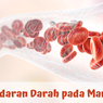 Mengenal Sistem dan Organ Peredaran Darah Manusia