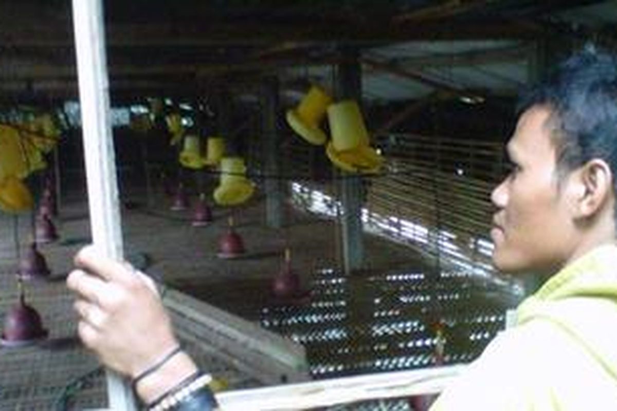 Pekerja melihat kondisi kandang ayam potong di Kecamatan Plosoklaten, Kabupaten Kediri, Jawa Timur, yang dibiarkan kosong oleh pemiliknya menyusul mahalnya harga pakan ayam.