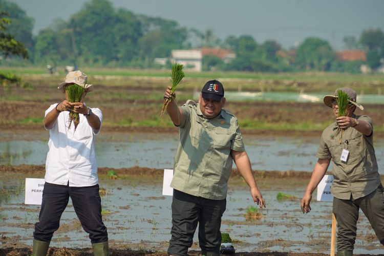 Kementan jalankan OKMAR untuk tingkatkan produktivitas pertanian di Karawang.