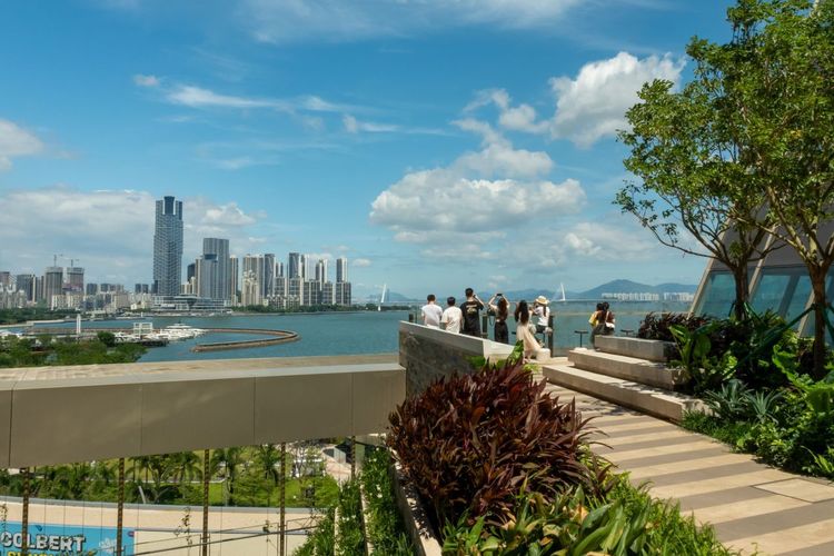 Shenzhen Airlines Kembali Layani Rute Jakarta Usai 7 Tahun, Tiket Rp 1,7 Jutaan