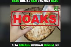 [HOAKS] Rebusan Air Kelapa Muda Dapat Menyembuhkan Batu Ginjal