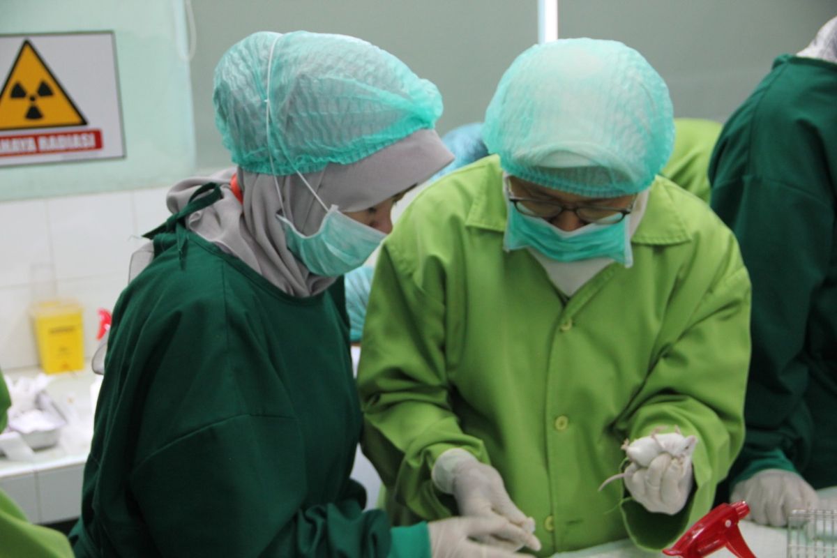 Kegiatan di laboratorium hewan uji radioaktif. Laboratorium satu-satunya di Indonesia ini bisa dimanfaatkan oleh peneliti BATAN ataupun di luar BATAN. 