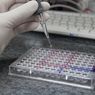 Hasil Rapid Test, 8 Orang Reaktif Virus Corona di Kepri