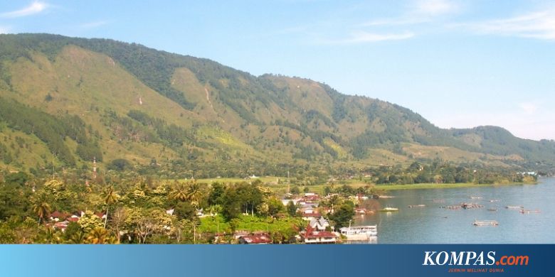 Jokowi Diminta Tinjau Ulang Izin Enam Perusahaan di 