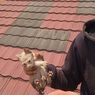 Suara Misterius Gegerkan Warga Indramayu, Anak Kucing Terjebak di Pipa Atap Rumah