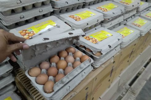 Telur Ayam Mahal, Mendag Panggil Peternak dan Penjual Pakan