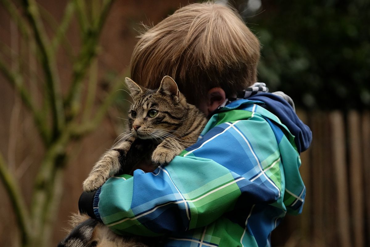 Ilustrasi anak memeluk kucing. 