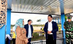 Rencana Cetak Sawah 500.000 Ha, Mentan Amran Tinjau Lokasi Eks PLG di Kalteng