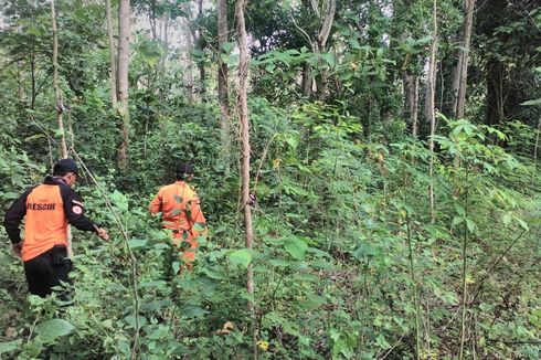 Seorang Kakek Hilang di Hutan Keramat, Kapolres dan Bupati Turun Tangan