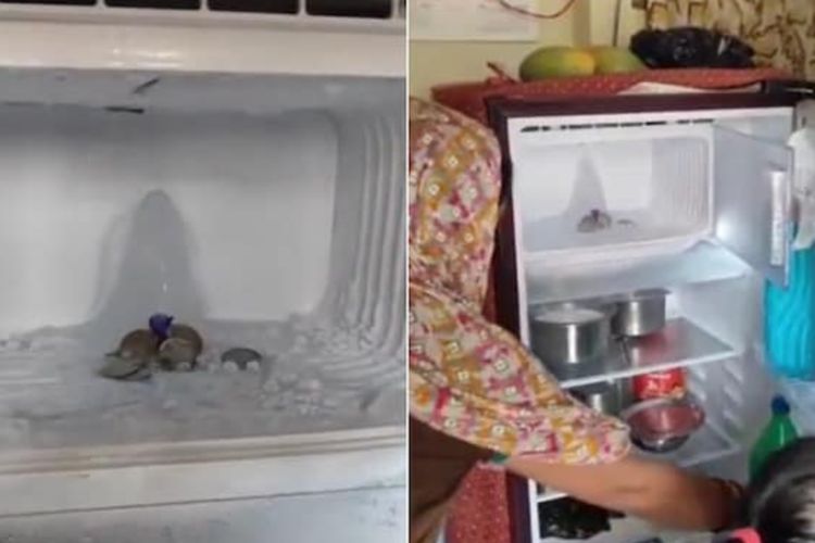 Warga India Geger Ada Es di Kulkas Mirip Simbol Dewa Siwa, Kini Jadi Tempat Ziarah