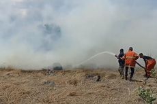 Buntut Kebakaran 30 Hektare Lahan, Kasat Pol PP Sikka: Kita Akan Panggil Pemilik