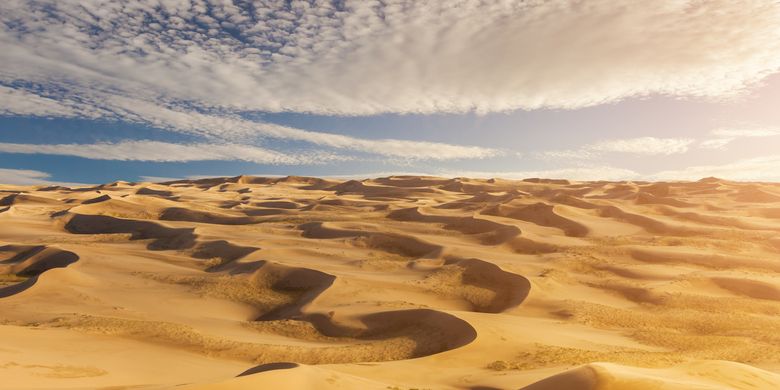 Suhu panas akibat pemanasan global di Bumi, terasa seperti di Gurun Sahara.