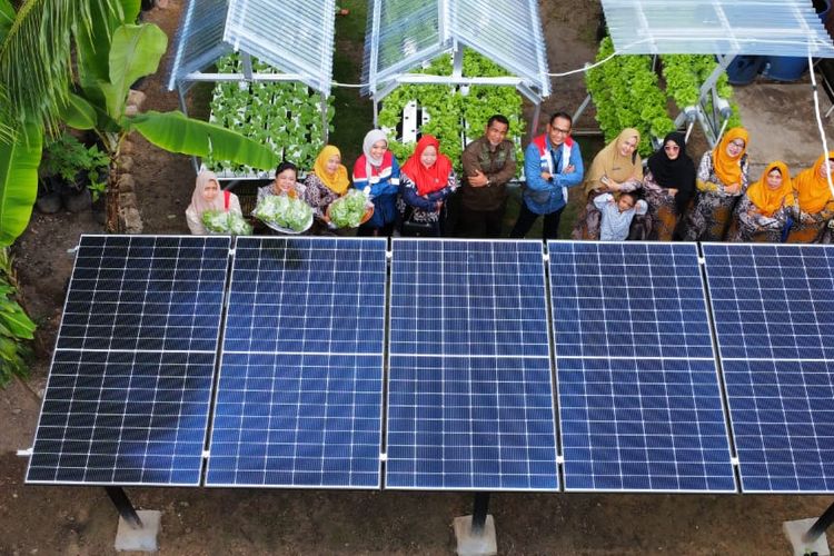 Pertamina Dorong Energi Bersih dan Ketahanan Pangan Lewat Hidroponik Bertenaga Surya di Dumai