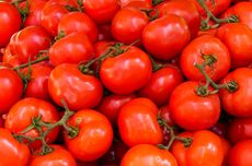 Tinggi Kandungan Nutrisinya, Ini 4 Manfaat Kesehatan Tomat