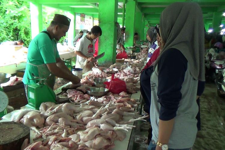 Pedagang ayam potong di Pasar Pagi Pangkal Pinang saat melayani pembeli. 
