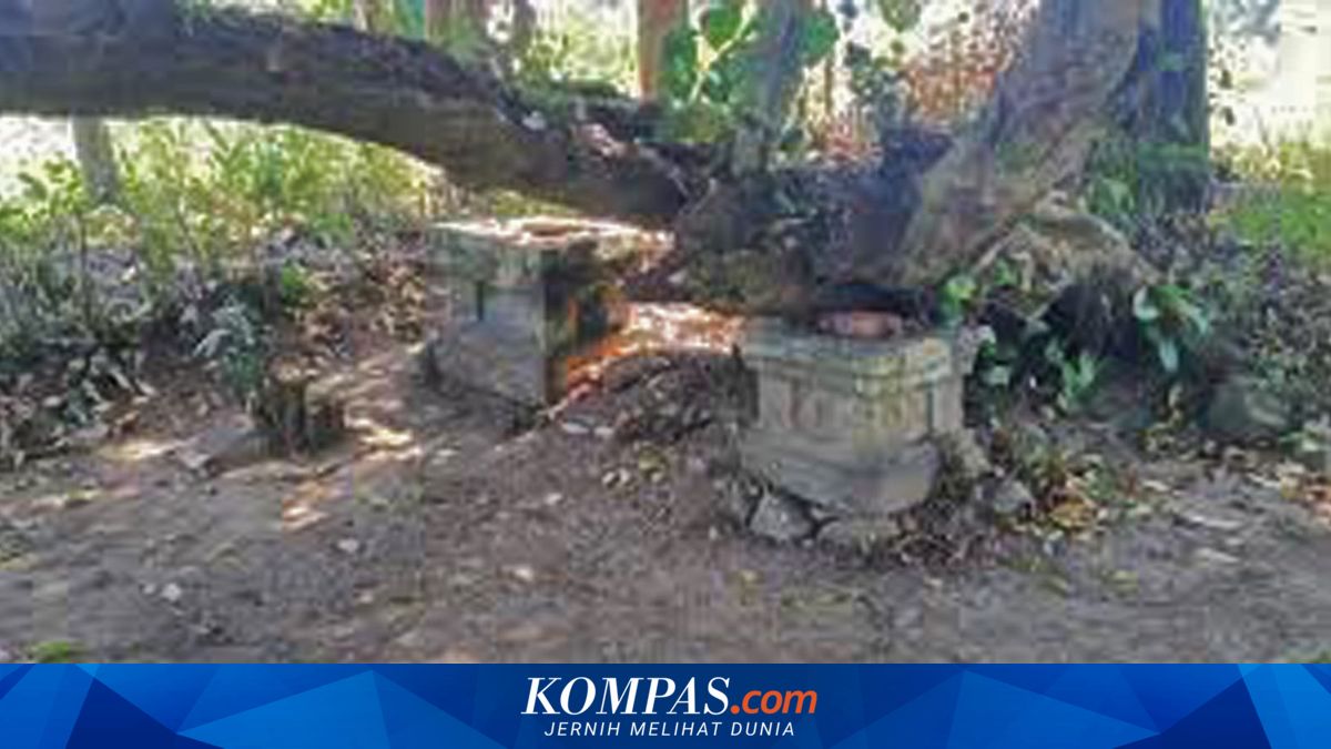 2 Batu Yoni di Situs Pocangan Jember Hilang, DPRD Soroti Pengawasan Cagar Budaya