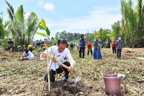 Bertemu Wakil Presiden Uni Eropa, Jokowi Sebut RI Punya Komitmen Kuat Atasi Perubahan Iklim