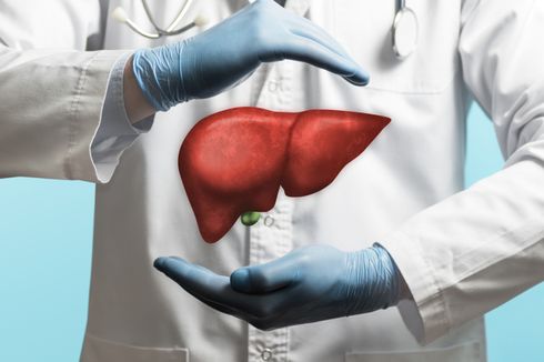 4 Jenis Makanan yang Bantu Jaga Kesehatan Liver