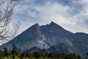 Aktivitas Gunung Merapi Meningkat, BPPTKG Imbau Warga Tak Masuki Daerah Rawan