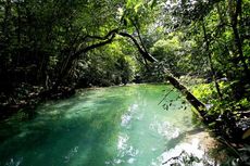 Pulau Moyo, Ironi di Surga Dunia