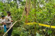 Viral, Video 3 Bocah SD Seberangi Sungai dengan Bergelantungan di ...