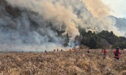 Kemenhut: Ancaman Karhutla di Kawasan Bromo Belum Selesai Meski Api Sudah Terkendali