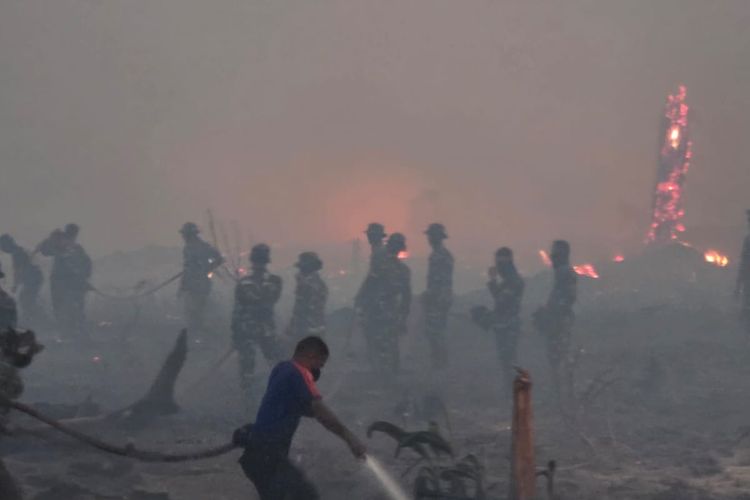 Karhutla Meluas di 6 Wilayah Indonesia, Lahan Terbakar di Nabire Tembus 396 Hektar