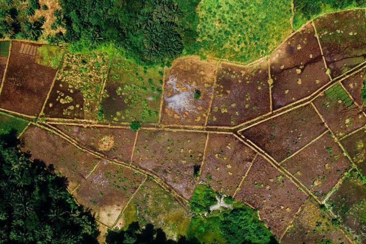 7 Jenis Tanah di Indonesia Lengkap dengan Ciri-cirinya