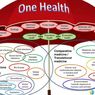 One Health, Satu Solusi untuk Semua