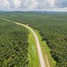 Neraca Dagang Agustus 2020 Surplus karena Tertolong Harga Komoditas Global 