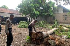 Pohon Kelapa 17 Meter Timpa Rumah, 2 Anak di Kulon Progo Dilarikan ke RS