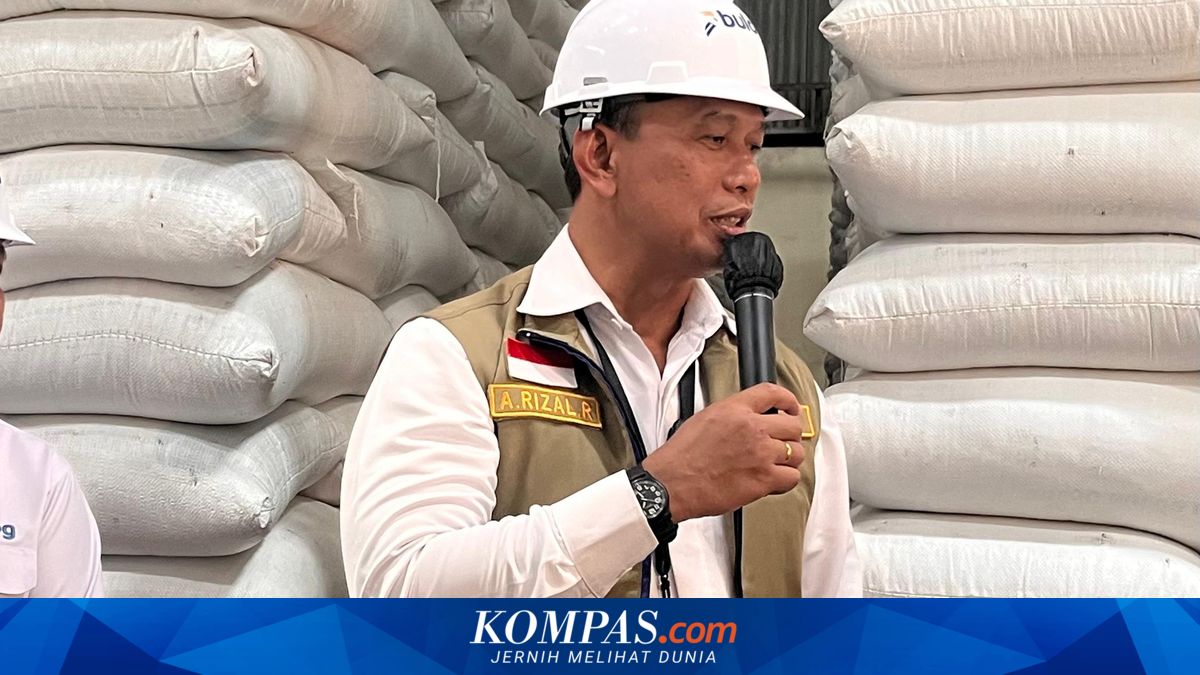 Bulog Siapkan 200.000 Ton Beras Premium untuk Ekspor