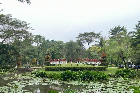 Cara Mudah ke Taman Tabebuya di Jagakarsa, Naik KRL dan TransJakarta