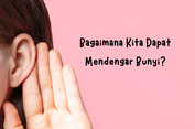 Bagaimana Kita Dapat Mendengar Bunyi? Ini Penjelasannya ....